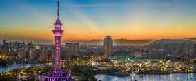 91麻豆免费看-解锁成年人的娱乐新体验——91麻豆免费欣赏之旅