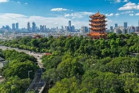 果冻传媒的邀请码-探索果冻传媒邀请码的独特魅力与价值